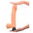 Real Feel Deluxe br.12 - realistični vibrator s testisima (prirodni)