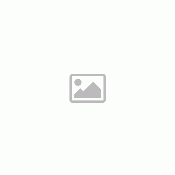 Obsessive Punker - prozirna mini haljina s tangama (crna) - L/XL