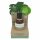 Coconutoil - organsko ulje za uklanjanje dlačica i poslije brijanja (50 ml)