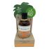 Coconutoil - Bio brončano ulje (80 ml)