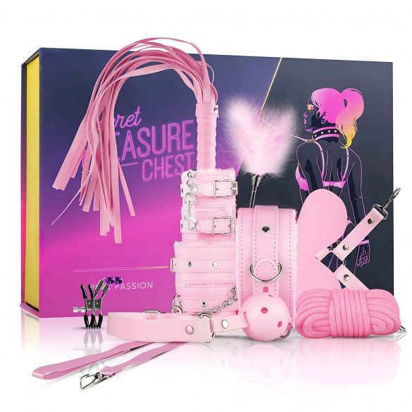 Secret Pleasure Chest - napredni BDSM set - 14 komada (roza) 